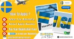 How to Apply Sweden work permit from Zimbabwe to Sweden ?